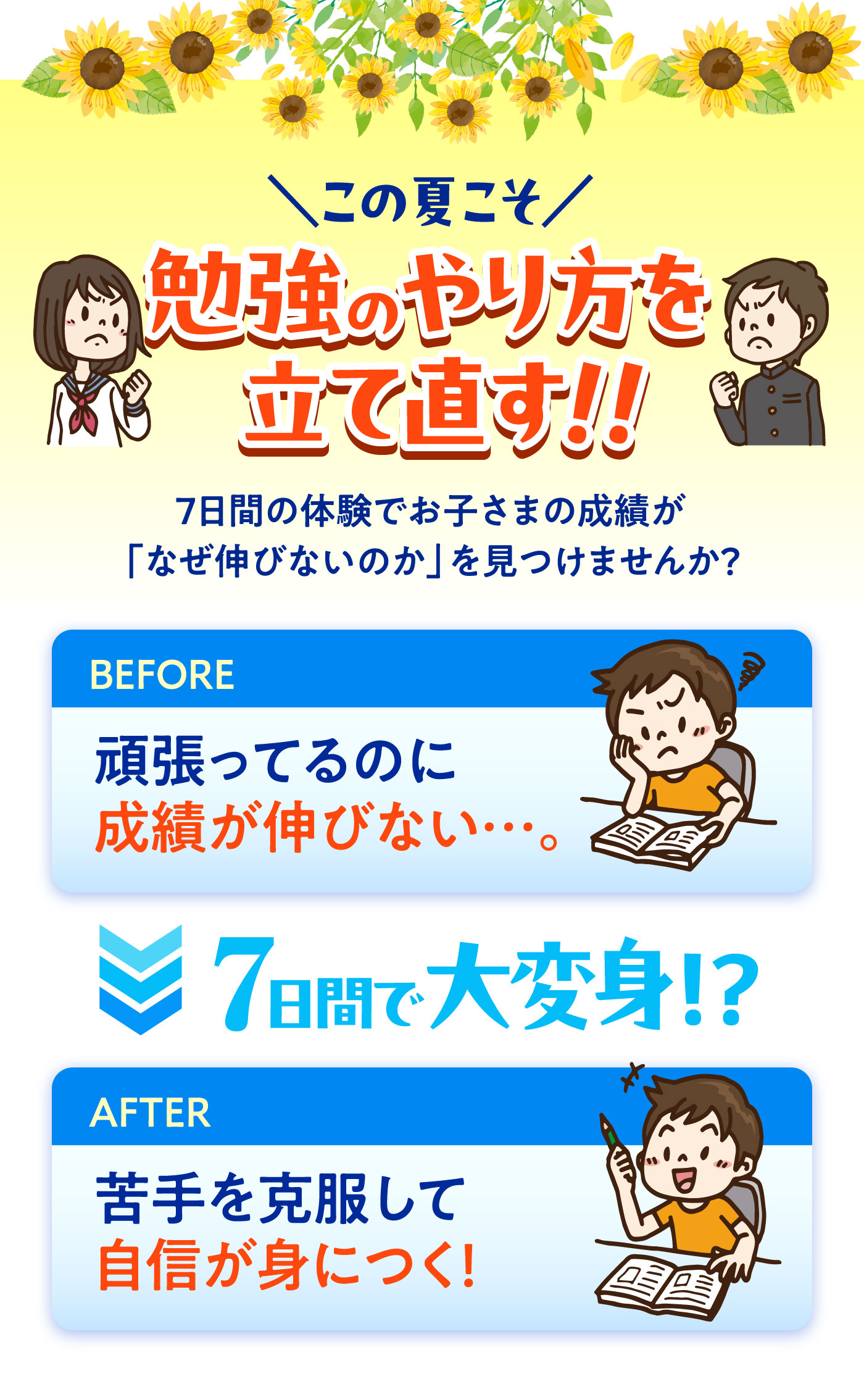 この夏こそ 勉強のやり方を立て直す