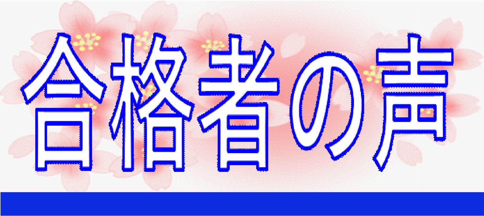 合格者の声